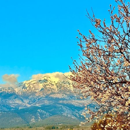 Villa Vasiliki Paliouras 外观 照片