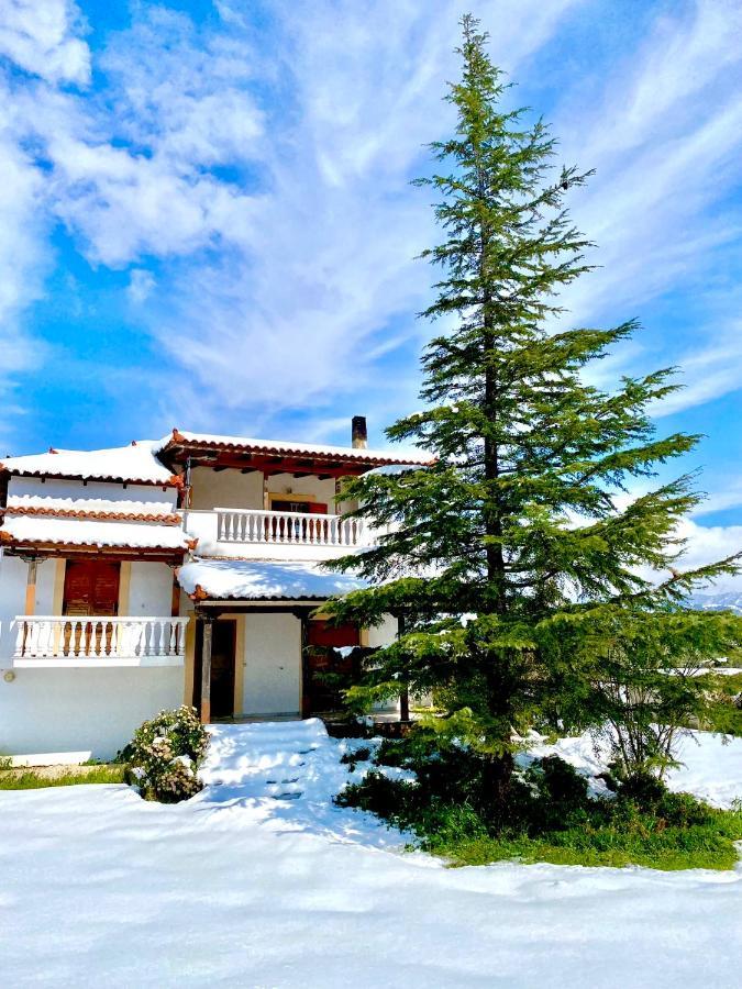 Villa Vasiliki Paliouras 外观 照片
