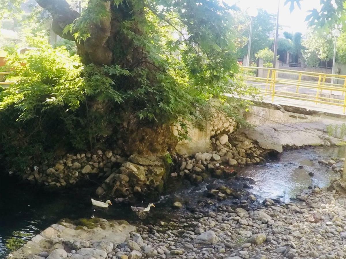Villa Vasiliki Paliouras 外观 照片