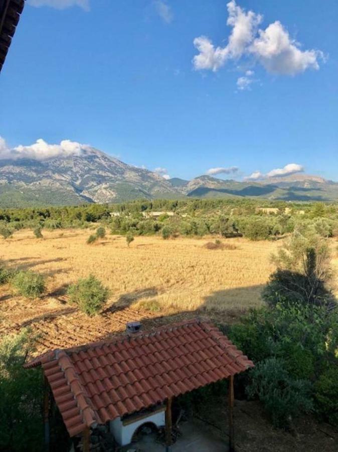 Villa Vasiliki Paliouras 外观 照片