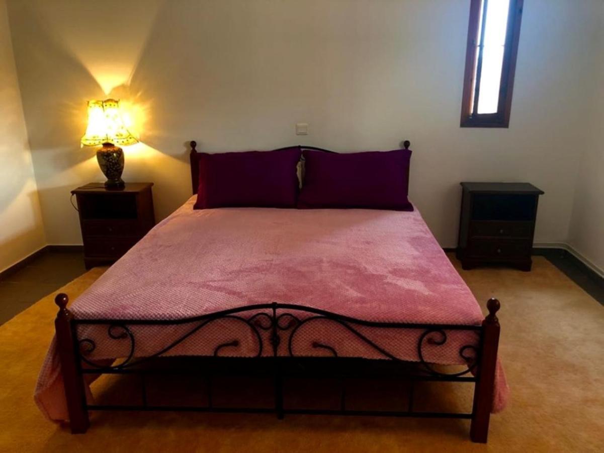 Villa Vasiliki Paliouras 外观 照片
