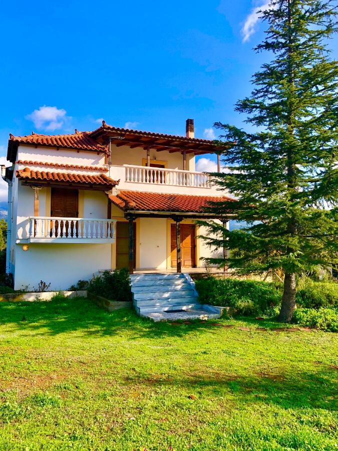 Villa Vasiliki Paliouras 外观 照片